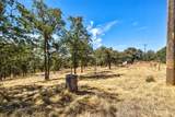 10363 Tulipan Way - Photo 35