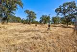 10363 Tulipan Way - Photo 36