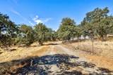 10363 Tulipan Way - Photo 37