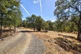 10363 Tulipan Way - Photo 38