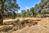 10363 Tulipan Way - Photo 39
