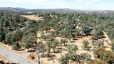 10363 Tulipan Way - Photo 47