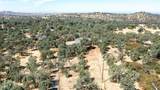 10363 Tulipan Way - Photo 48