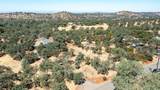 10363 Tulipan Way - Photo 49