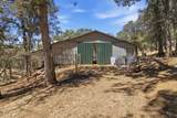 3300 Broken Branch Trail - Photo 46
