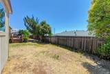 1333 Wesley Lane - Photo 35