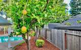 102 Davis Court - Photo 25