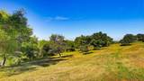 11215 Bonanza Way - Photo 83