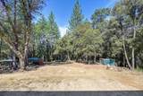 4903 Scotch Broom Lane - Photo 57