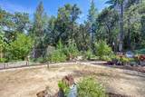 4903 Scotch Broom Lane - Photo 61