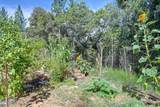 4903 Scotch Broom Lane - Photo 63