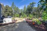 4903 Scotch Broom Lane - Photo 65