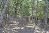 4903 Scotch Broom Lane - Photo 68