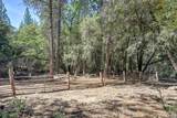 4903 Scotch Broom Lane - Photo 71