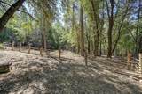 4903 Scotch Broom Lane - Photo 72