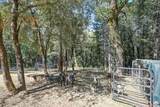4903 Scotch Broom Lane - Photo 77