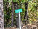 4903 Scotch Broom Lane - Photo 81