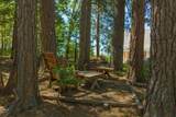 3035 Dalmatia Drive - Photo 37