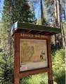3035 Dalmatia Drive - Photo 47