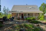3035 Dalmatia Drive - Photo 5