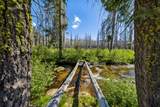 7770 Tamarack Pines Road - Photo 16