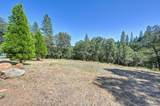 17008 Bloomfield Ridge Place - Photo 35