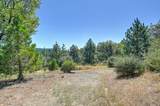 17008 Bloomfield Ridge Place - Photo 36