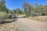 17008 Bloomfield Ridge Place - Photo 46