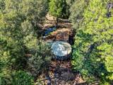 17008 Bloomfield Ridge Place - Photo 48