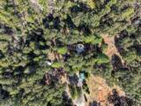 17008 Bloomfield Ridge Place - Photo 50
