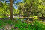 17500 Winding Oaks Road - Photo 44