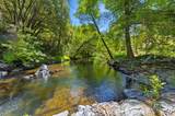 17500 Winding Oaks Road - Photo 46
