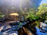 17500 Winding Oaks Road - Photo 49