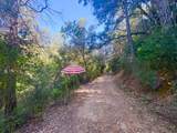 17500 Winding Oaks Road - Photo 52
