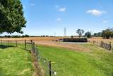 11490 Arno Road - Photo 23