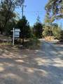 817 Timber Hills Road - Photo 3