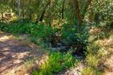 5281 Hidden Hollow Drive - Photo 31