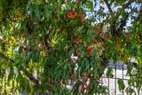 6091 Heath Way - Photo 27