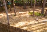13015 Lee Lane - Photo 28