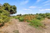 16565 Lacey Boulevard - Photo 40