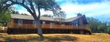 3951 Safari Trail - Photo 14