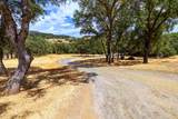 3951 Safari Trail - Photo 64