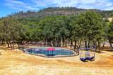 3951 Safari Trail - Photo 68