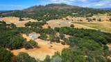 3951 Safari Trail - Photo 9