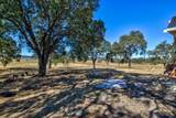 12550 Hogan Dam - Photo 34