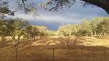 12550 Hogan Dam - Photo 53