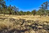 12550 Hogan Dam - Photo 54