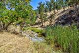 12550 Hogan Dam - Photo 55