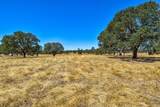 12550 Hogan Dam - Photo 58