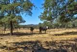 12550 Hogan Dam - Photo 59